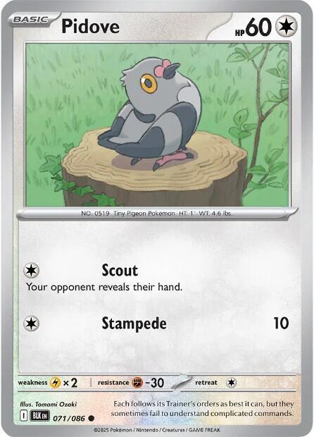 Pidove Reverse Holofoil SV: Black Bolt Common 071/086