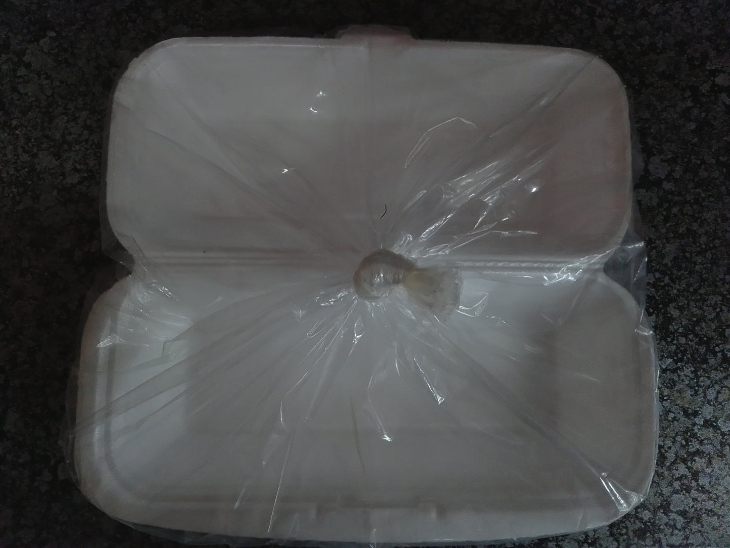 Styrofoam Container-Hot Dog 10pce