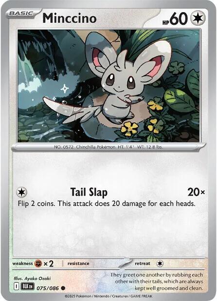 Minccino Normal SV: Black Bolt Common 075/086