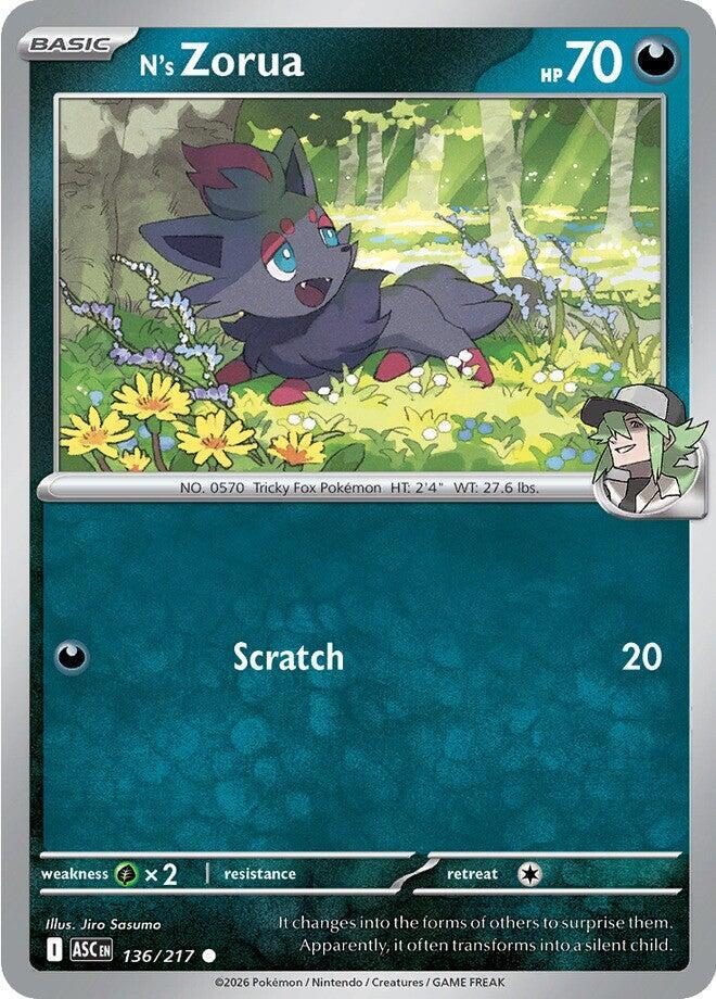 N's Zorua Normal ME: Ascended Heroes Common 136/217