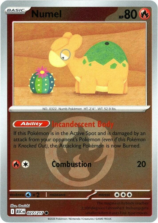 Numel - 027/217 (Energy Symbol Pattern) Reverse Holofoil ME: Ascended Heroes