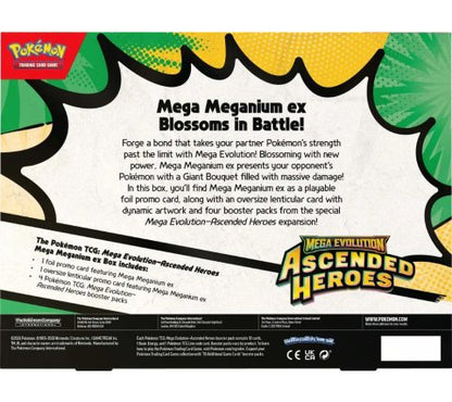 Pokémon - TCG Mega Evolution–Ascended Heroes ex Box *PRE-ORDER*